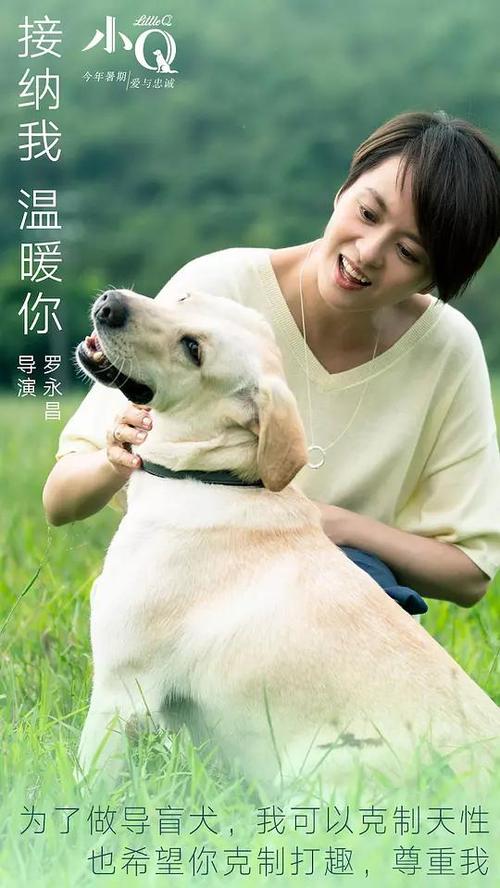 如何考国际驾照怎么申请流程